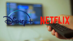 Netflix and Disney Plus are popular streaming services and you're asking yourself which one should you choose